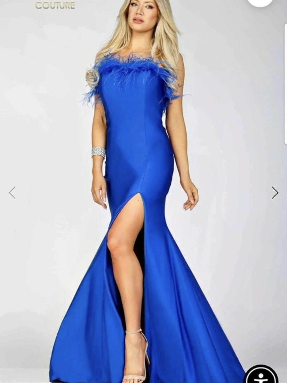 Terani Couture 231P0067 Feather-Trim Spandex Satin Gown Royal Blue Maxi Dress